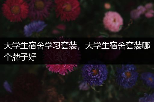 大学生宿舍学习套装，大学生宿舍套装哪个牌子好