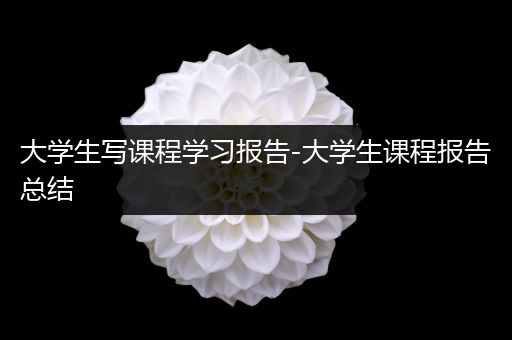 大学生写课程学习报告-大学生课程报告总结