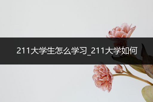 211大学生怎么学习_211大学如何