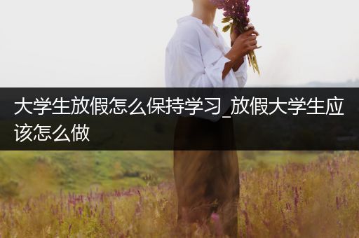 大学生放假怎么保持学习_放假大学生应该怎么做