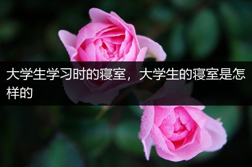 大学生学习时的寝室，大学生的寝室是怎样的