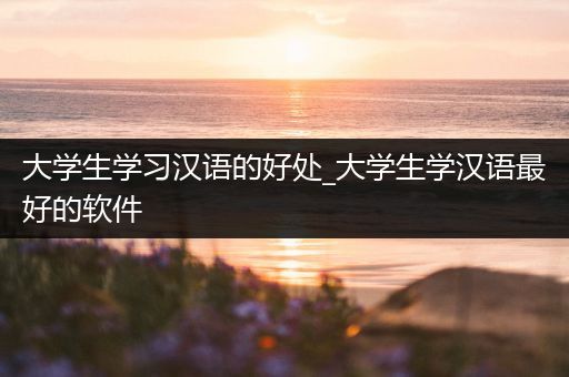 大学生学习汉语的好处_大学生学汉语最好的软件