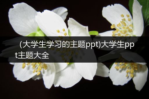 （大学生学习的主题ppt)大学生ppt主题大全
