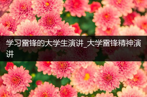 学习雷锋的大学生演讲_大学雷锋精神演讲
