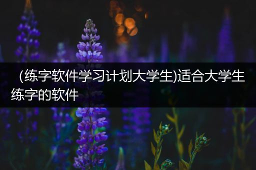 （练字软件学习计划大学生)适合大学生练字的软件