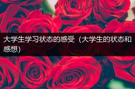 大学生学习状态的感受（大学生的状态和感想）