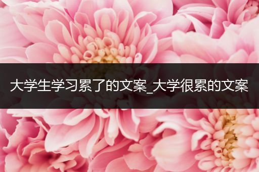 大学生学习累了的文案_大学很累的文案