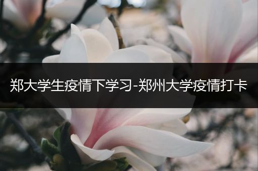 郑大学生疫情下学习-郑州大学疫情打卡
