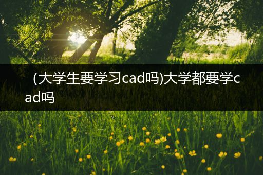 （大学生要学习cad吗)大学都要学cad吗