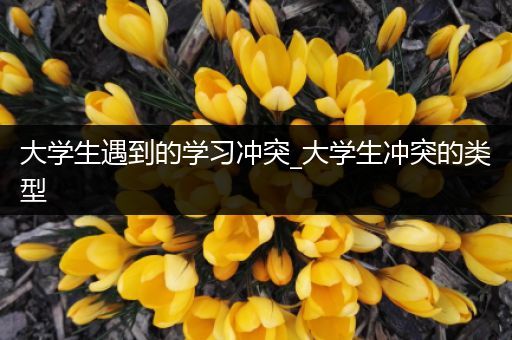 大学生遇到的学习冲突_大学生冲突的类型