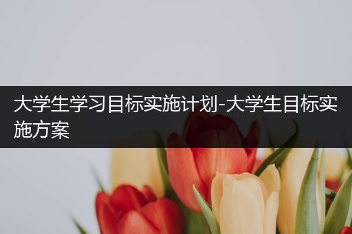 大学生学习目标实施计划-大学生目标实施方案
