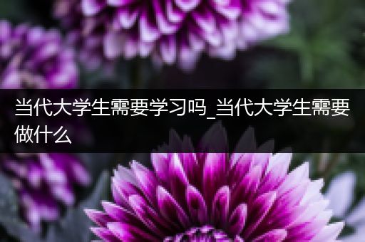 当代大学生需要学习吗_当代大学生需要做什么