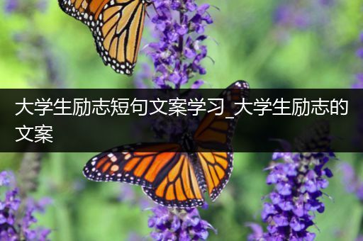 大学生励志短句文案学习_大学生励志的文案
