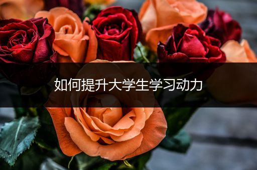 如何提升大学生学习动力