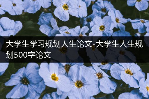 大学生学习规划人生论文-大学生人生规划500字论文