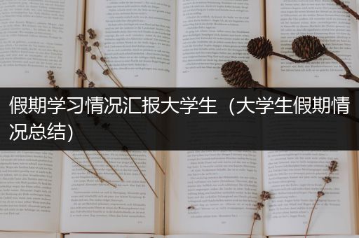 假期学习情况汇报大学生（大学生假期情况总结）