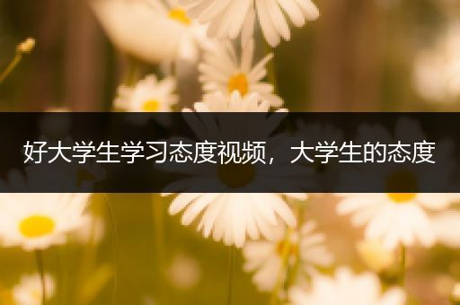 好大学生学习态度视频，大学生的态度