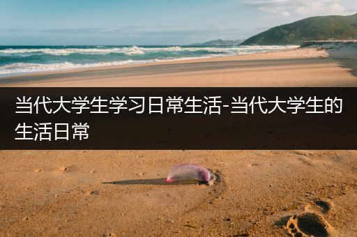 当代大学生学习日常生活-当代大学生的生活日常