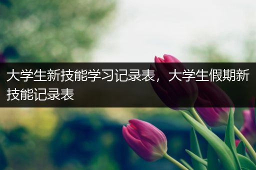 大学生新技能学习记录表，大学生假期新技能记录表