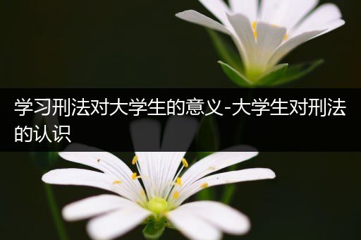 学习刑法对大学生的意义-大学生对刑法的认识