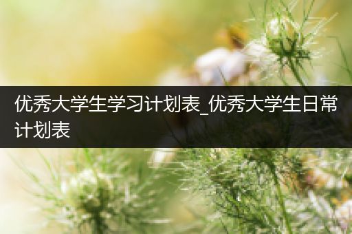 优秀大学生学习计划表_优秀大学生日常计划表