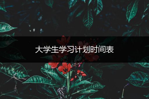 大学生学习计划时间表