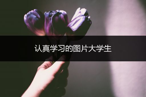 认真学习的图片大学生