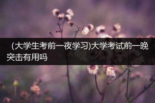 （大学生考前一夜学习)大学考试前一晚突击有用吗
