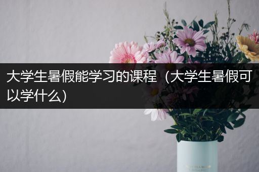 大学生暑假能学习的课程（大学生暑假可以学什么）