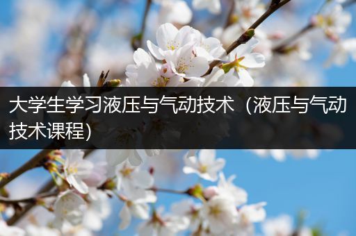 大学生学习液压与气动技术（液压与气动技术课程）