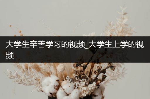 大学生辛苦学习的视频_大学生上学的视频