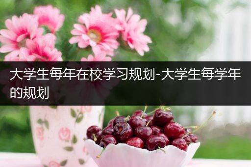 大学生每年在校学习规划-大学生每学年的规划