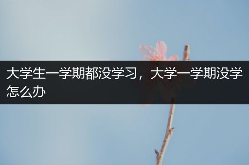 大学生一学期都没学习，大学一学期没学怎么办