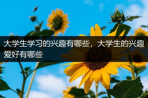 大学生学习的兴趣有哪些，大学生的兴趣爱好有哪些