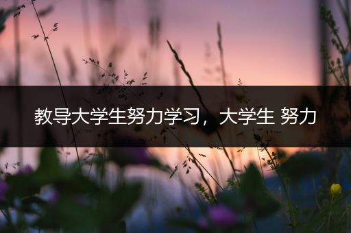 教导大学生努力学习，大学生 努力