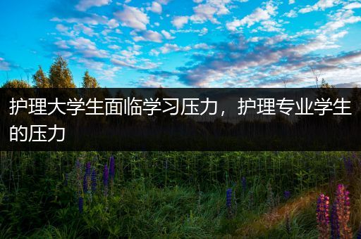 护理大学生面临学习压力，护理专业学生的压力