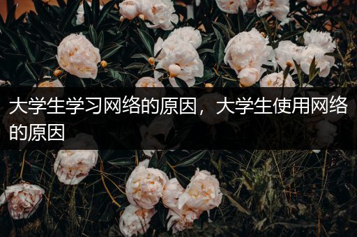 大学生学习网络的原因，大学生使用网络的原因