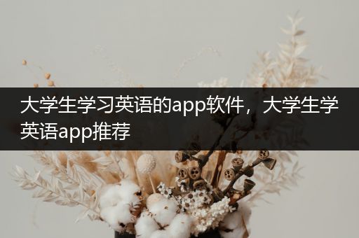 大学生学习英语的app软件，大学生学英语app推荐