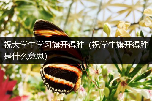 祝大学生学习旗开得胜（祝学生旗开得胜是什么意思）