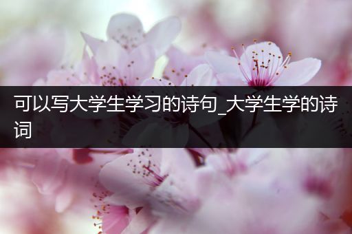 可以写大学生学习的诗句_大学生学的诗词
