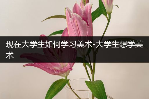 现在大学生如何学习美术-大学生想学美术