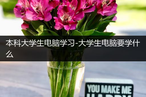 本科大学生电脑学习-大学生电脑要学什么