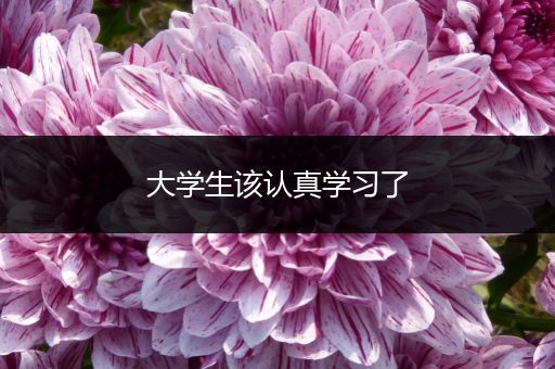 大学生该认真学习了