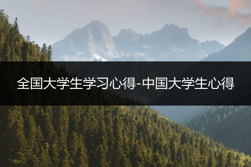 全国大学生学习心得-中国大学生心得