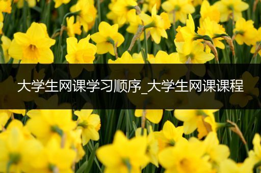 大学生网课学习顺序_大学生网课课程