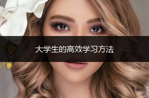 大学生的高效学习方法
