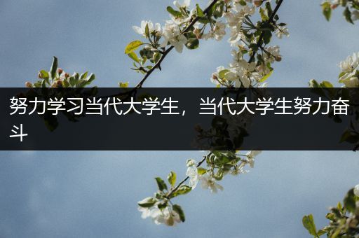 努力学习当代大学生，当代大学生努力奋斗