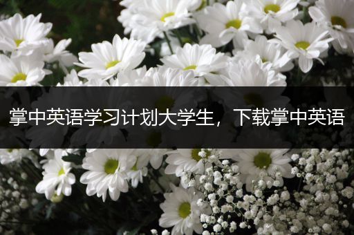 掌中英语学习计划大学生，下载掌中英语