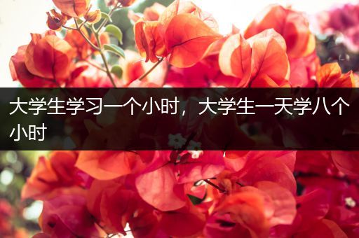 大学生学习一个小时，大学生一天学八个小时