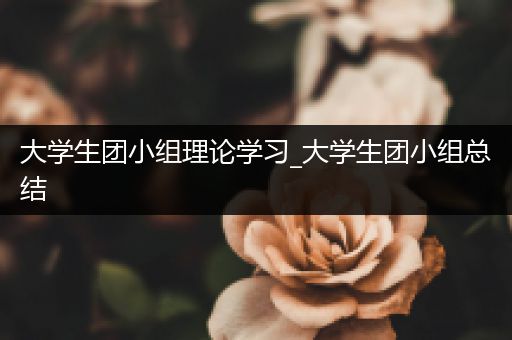 大学生团小组理论学习_大学生团小组总结